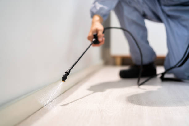 Licensed Termite Control service in Santa Clara County County, CA - Nex Pest Control