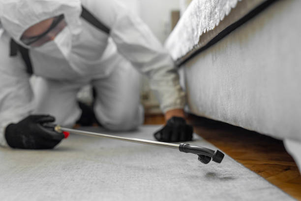 Professional Termite Control technician working in Santa Clara County County, CA